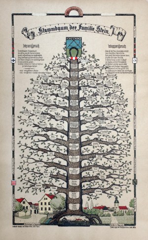 Stammbaum der familie Stein (1934)