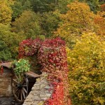 Herbst im Erzgebirge (Burg Scharfenstein) herbst-000